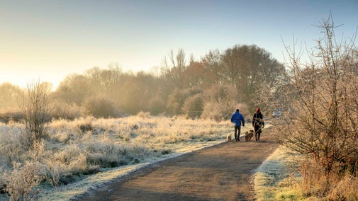 A couple walking their dog in the frosty winter landscape at Bookham Commons in Surrey